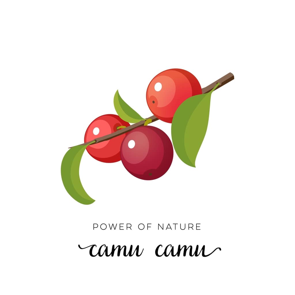 camu-camu-