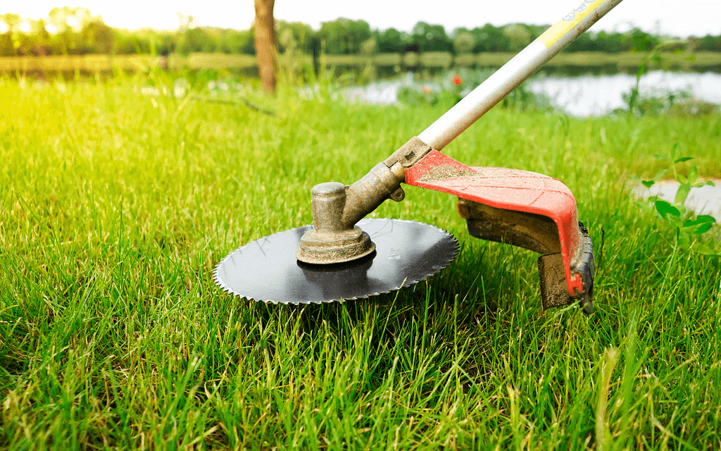 come-scegliere-il-decespugliatore