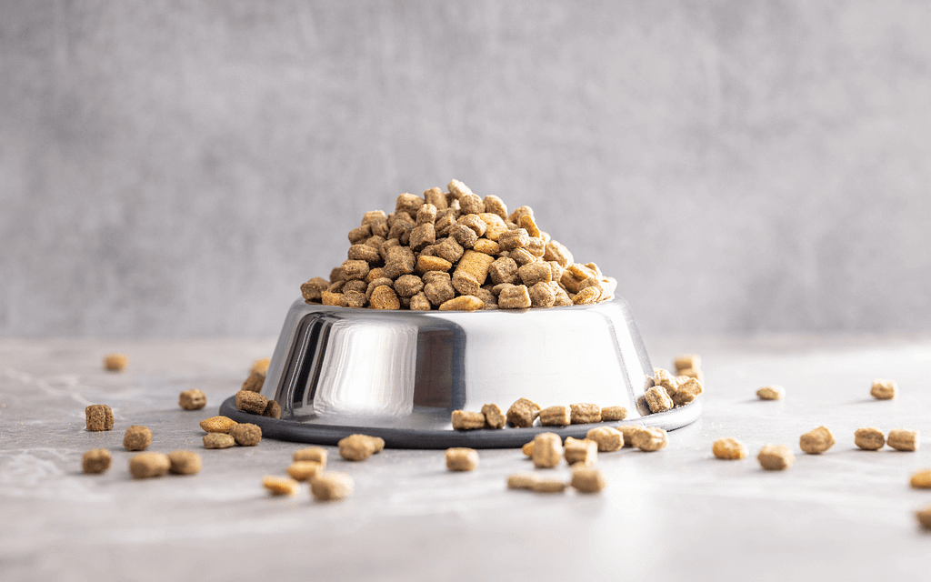 croccantini-per-gatti