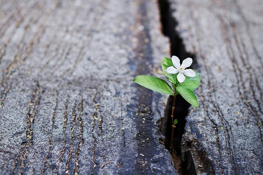 upload788cosa-fare-in-caso-di-morte-famigliare