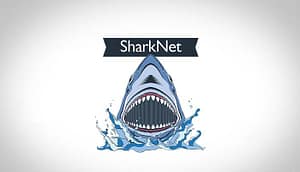 upload622sharknet