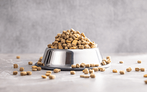 croccantini-per-gatti